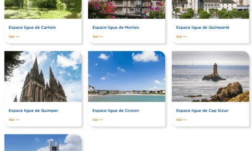 Miniature page espaces ligue_Ligue contre le cancer Finistère